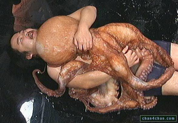 Asian Girls Fucking Squids Sexy New Compilations Free Comments